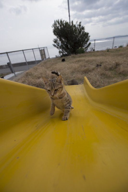 f:id:fubirai:20180207232249j:image