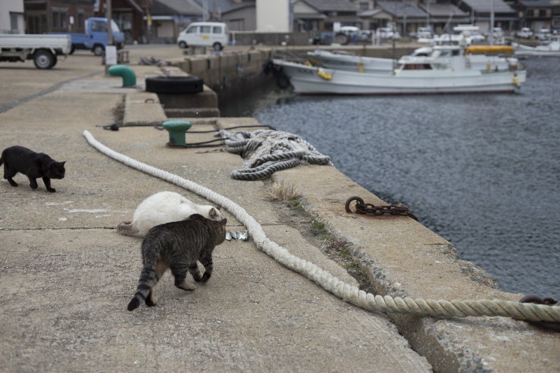 f:id:fubirai:20180221223705j:image