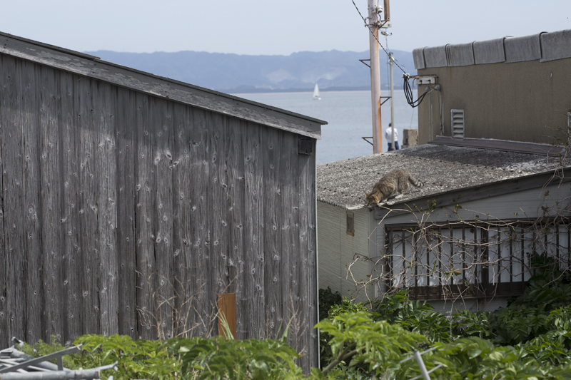 f:id:fubirai:20180419000327j:image