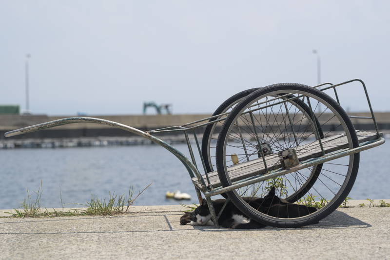 f:id:fubirai:20180607233418j:image