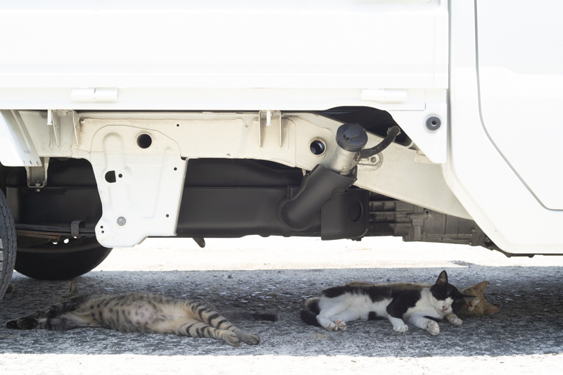 f:id:fubirai:20180816215526j:image