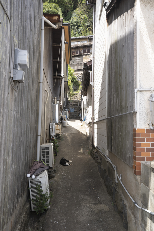 f:id:fubirai:20180824230415j:image
