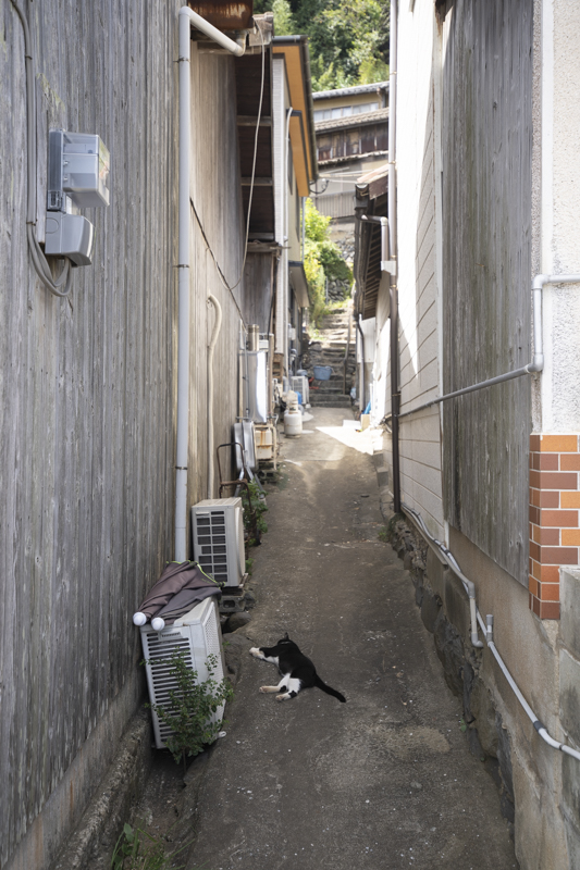 f:id:fubirai:20180824230416j:image