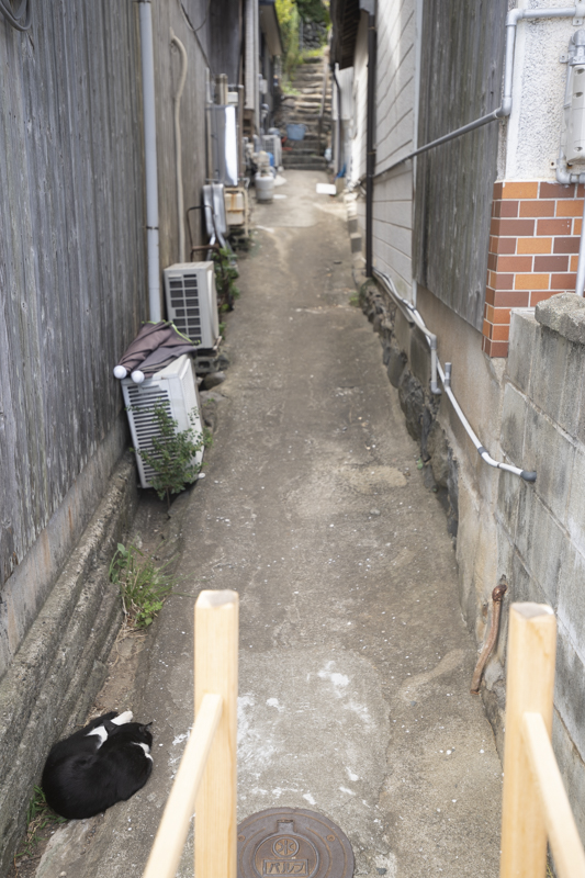 f:id:fubirai:20180824230417j:image