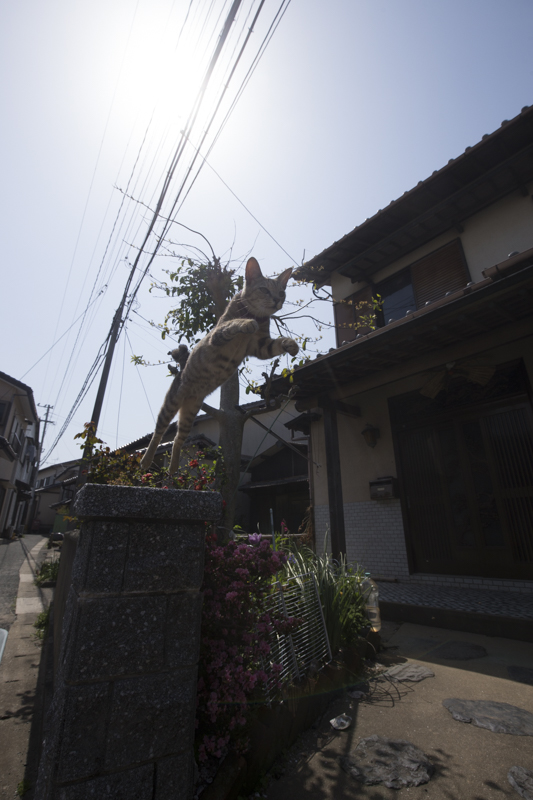 f:id:fubirai:20180911221815j:image