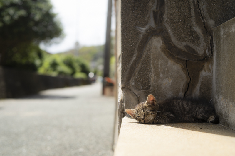 f:id:fubirai:20180913232116j:image