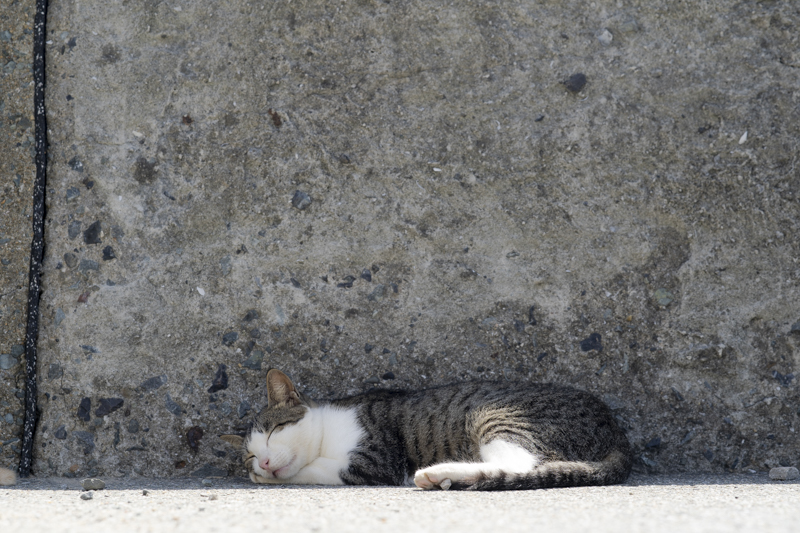 f:id:fubirai:20181003232736j:image