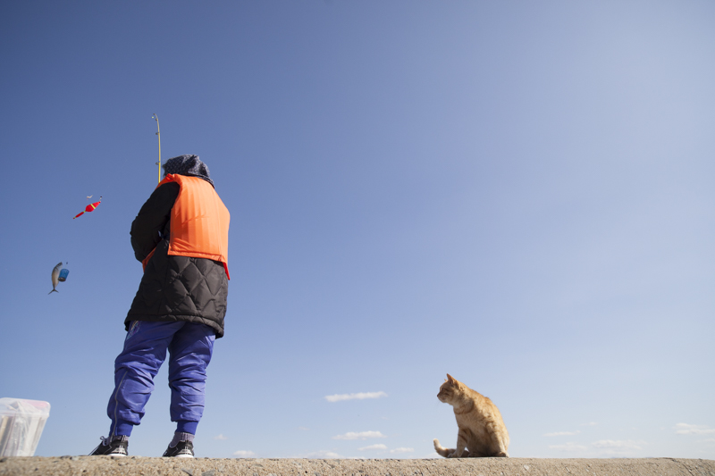 f:id:fubirai:20181103010716j:image