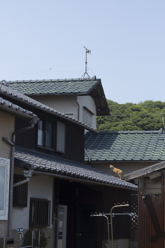f:id:fubirai:20181119001440j:image