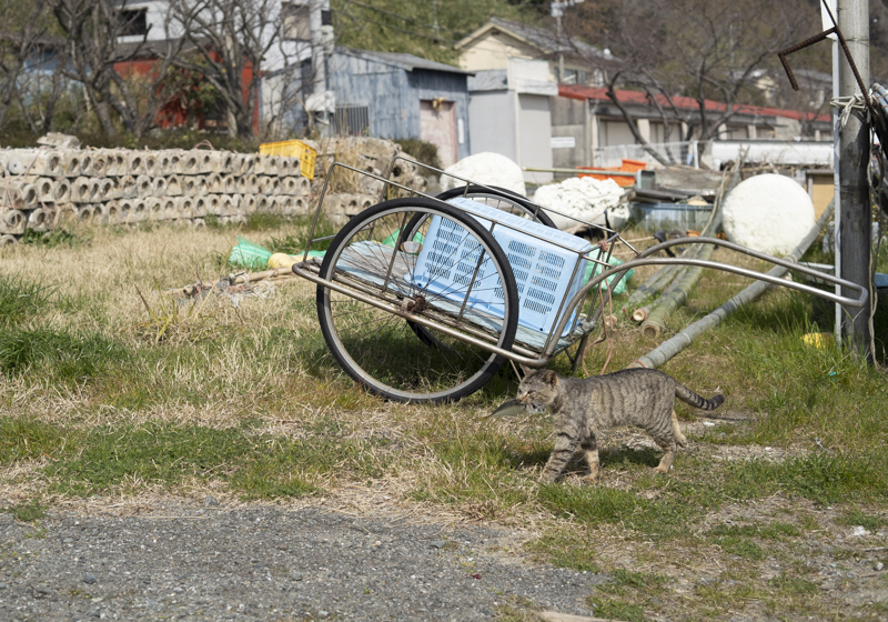 f:id:fubirai:20190419235530j:image