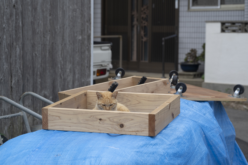 f:id:fubirai:20190506001828j:image
