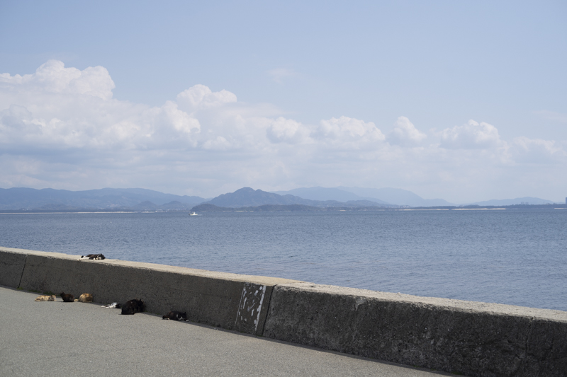 f:id:fubirai:20190509231546j:image