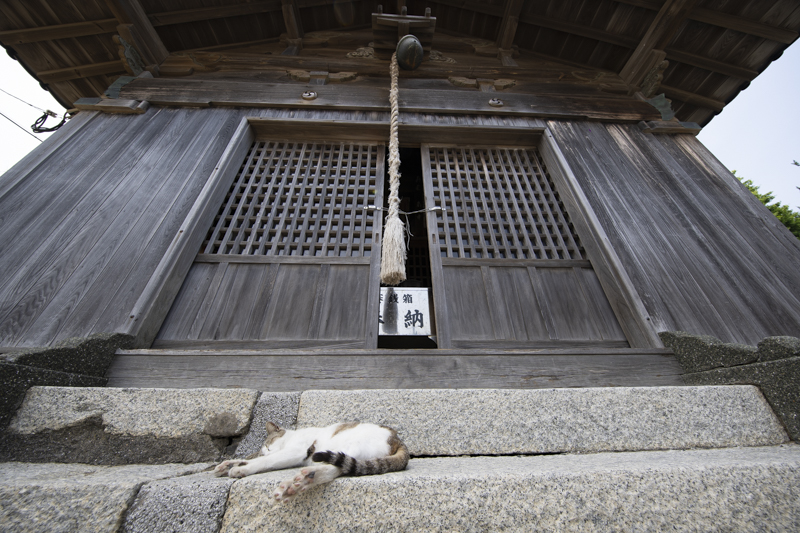 f:id:fubirai:20190516231748j:image