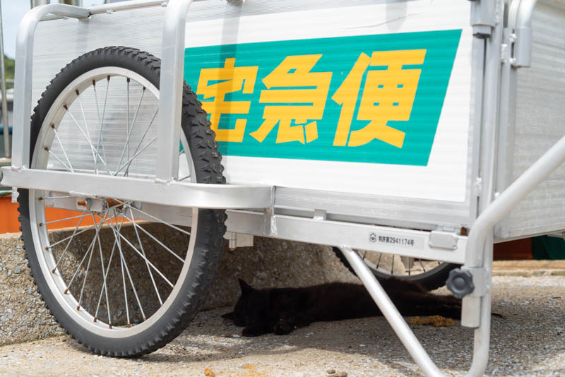 f:id:fubirai:20190911124804j:image