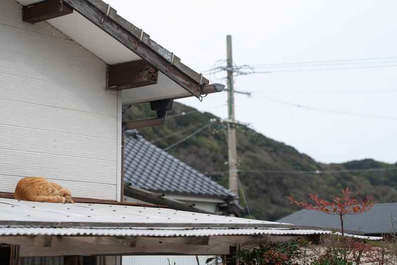 f:id:fubirai:20191125235848j:image