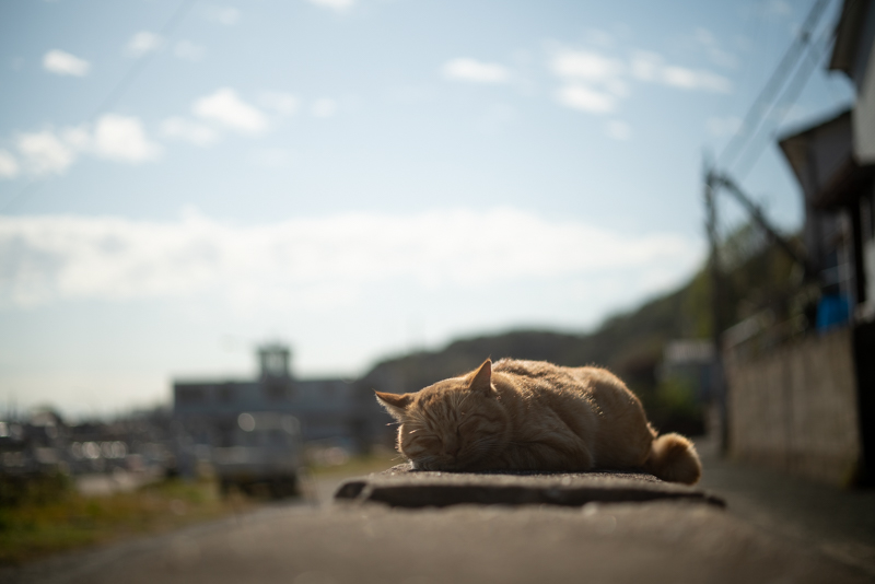 f:id:fubirai:20191211234850j:image