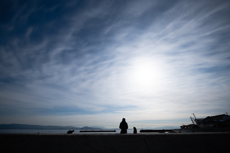 f:id:fubirai:20191217232614j:image