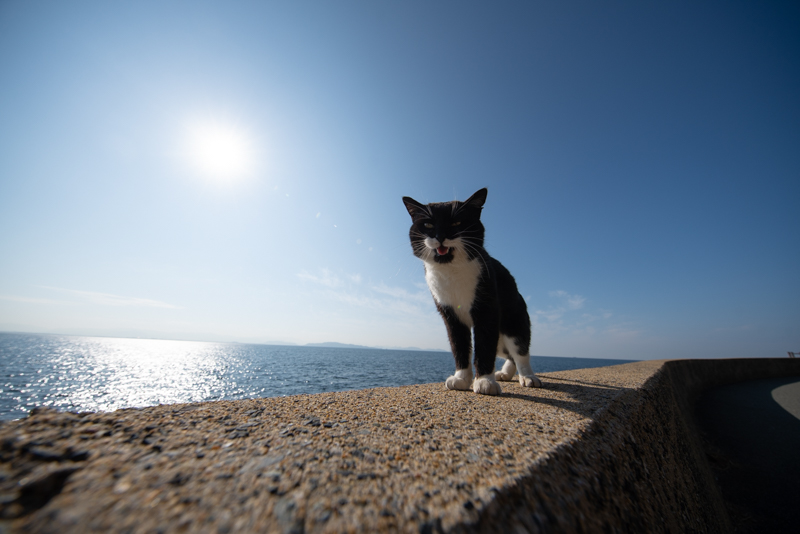 f:id:fubirai:20191219225233j:image