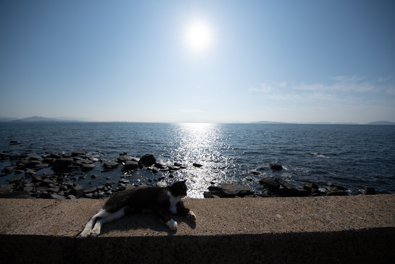 f:id:fubirai:20191219225544j:image