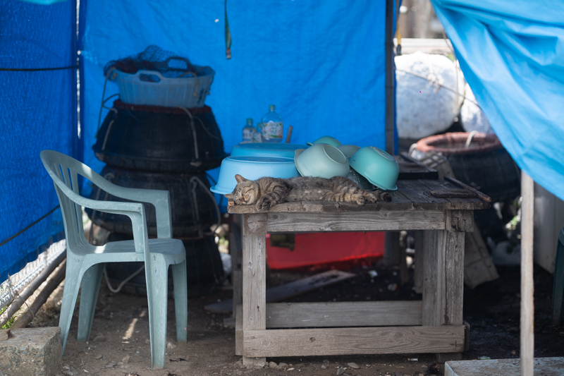 f:id:fubirai:20191229235857j:image