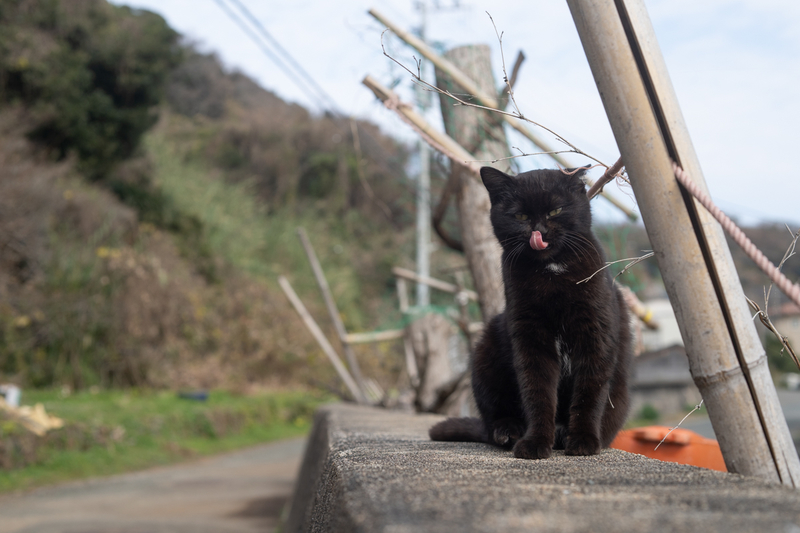 f:id:fubirai:20200913113126j:image