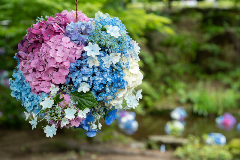 f:id:fubirai:20210904215640j:image