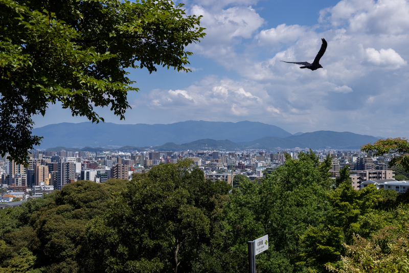 f:id:fubirai:20210907000219j:image