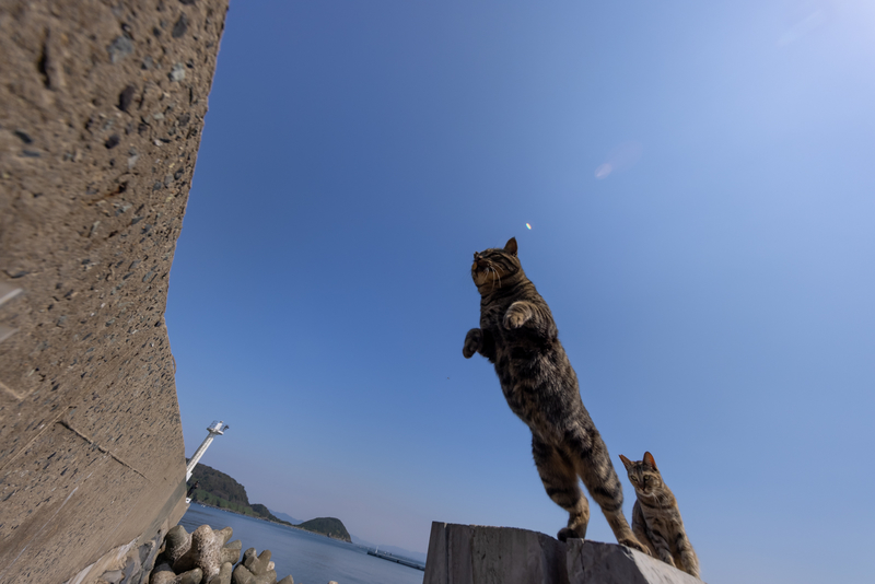 f:id:fubirai:20211008000255j:image
