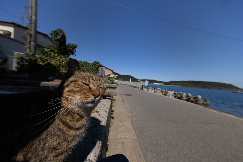 f:id:fubirai:20211019224459j:image