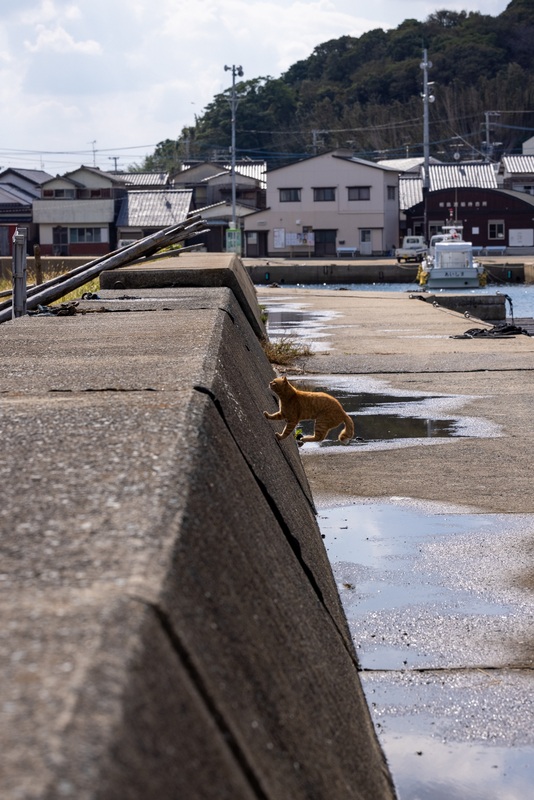 f:id:fubirai:20211024005434j:image