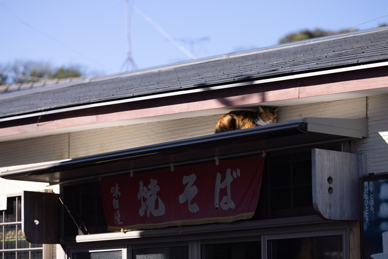 f:id:fubirai:20211208001058j:image