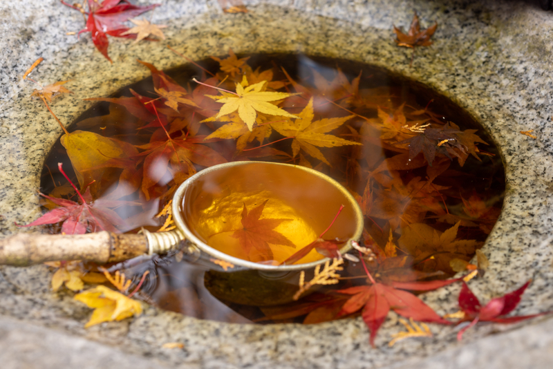 f:id:fubirai:20211214234432j:image