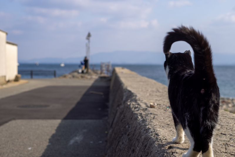 f:id:fubirai:20220107234253j:image