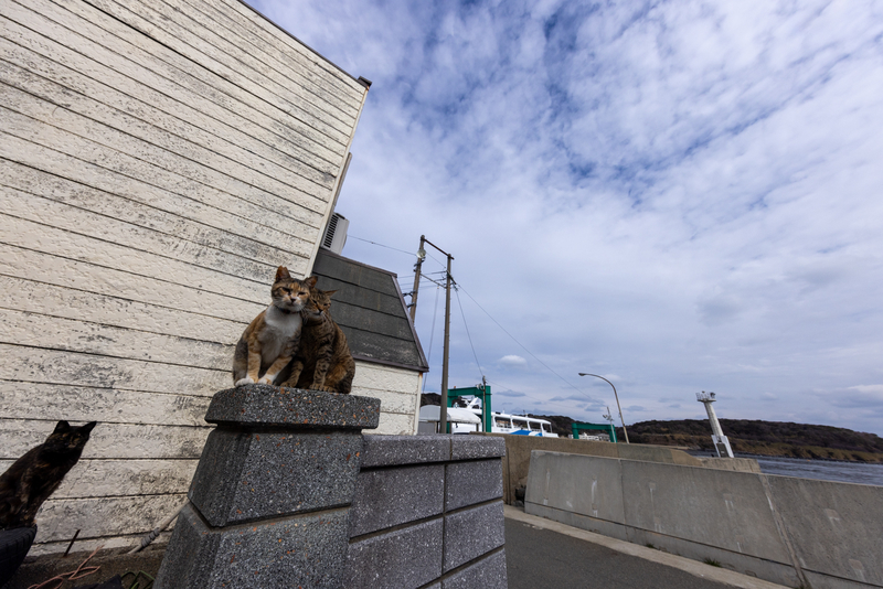 f:id:fubirai:20220215231253j:image