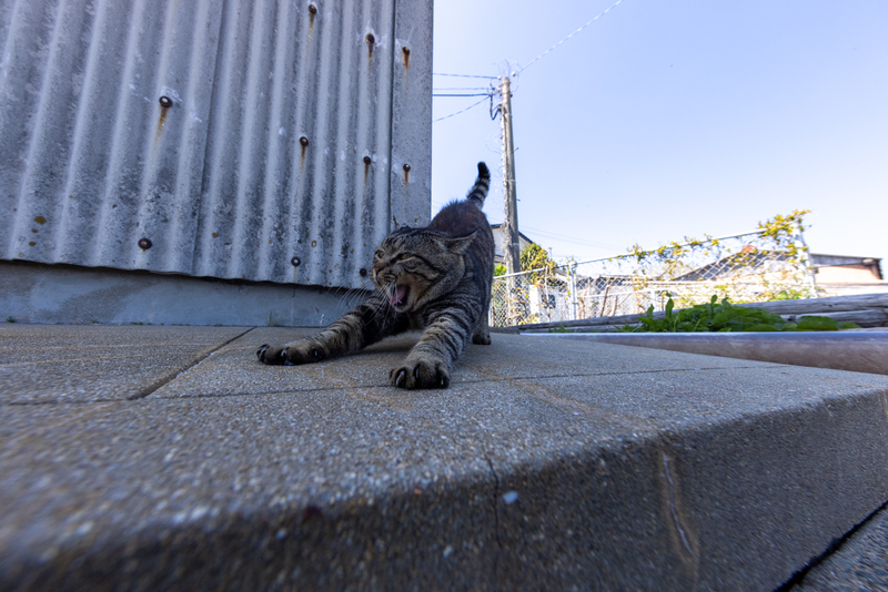 f:id:fubirai:20220413211444j:image