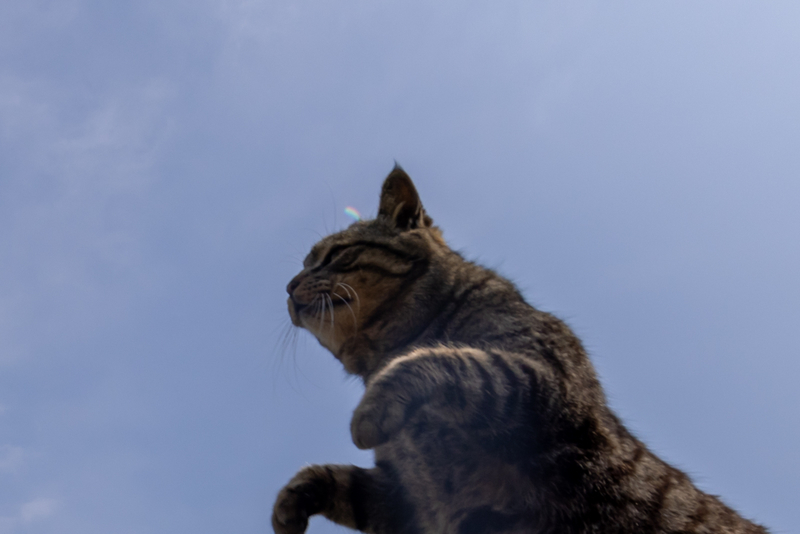 f:id:fubirai:20220418011829j:image