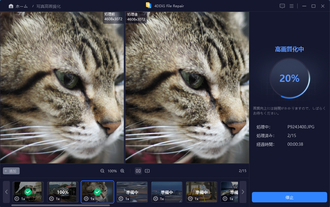 オールドレンズで撮ったソフトフォーカスの写真にも適応した