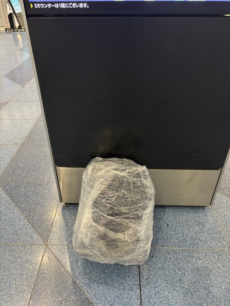 預け入れするのにラップを巻かれたキャビンゼロ44L