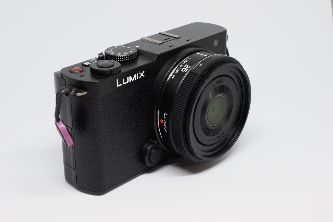 エクステリア張替えサービスに出す前のLUMIX S9
