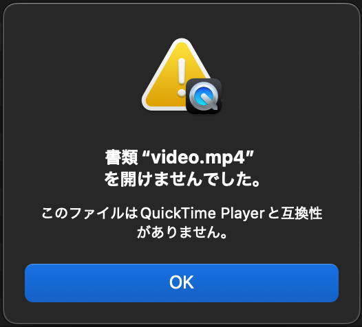 破損した動画ファイルを再生しようとした様子