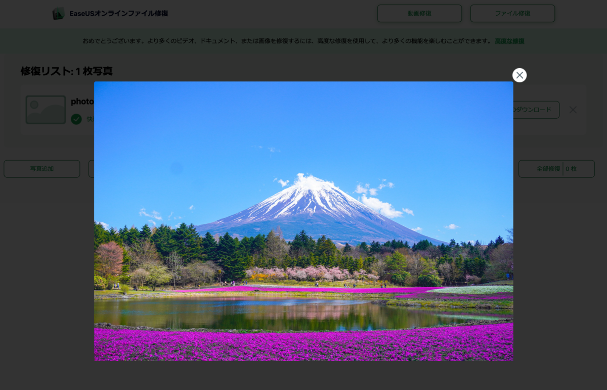 修復後の写真のプレビュー