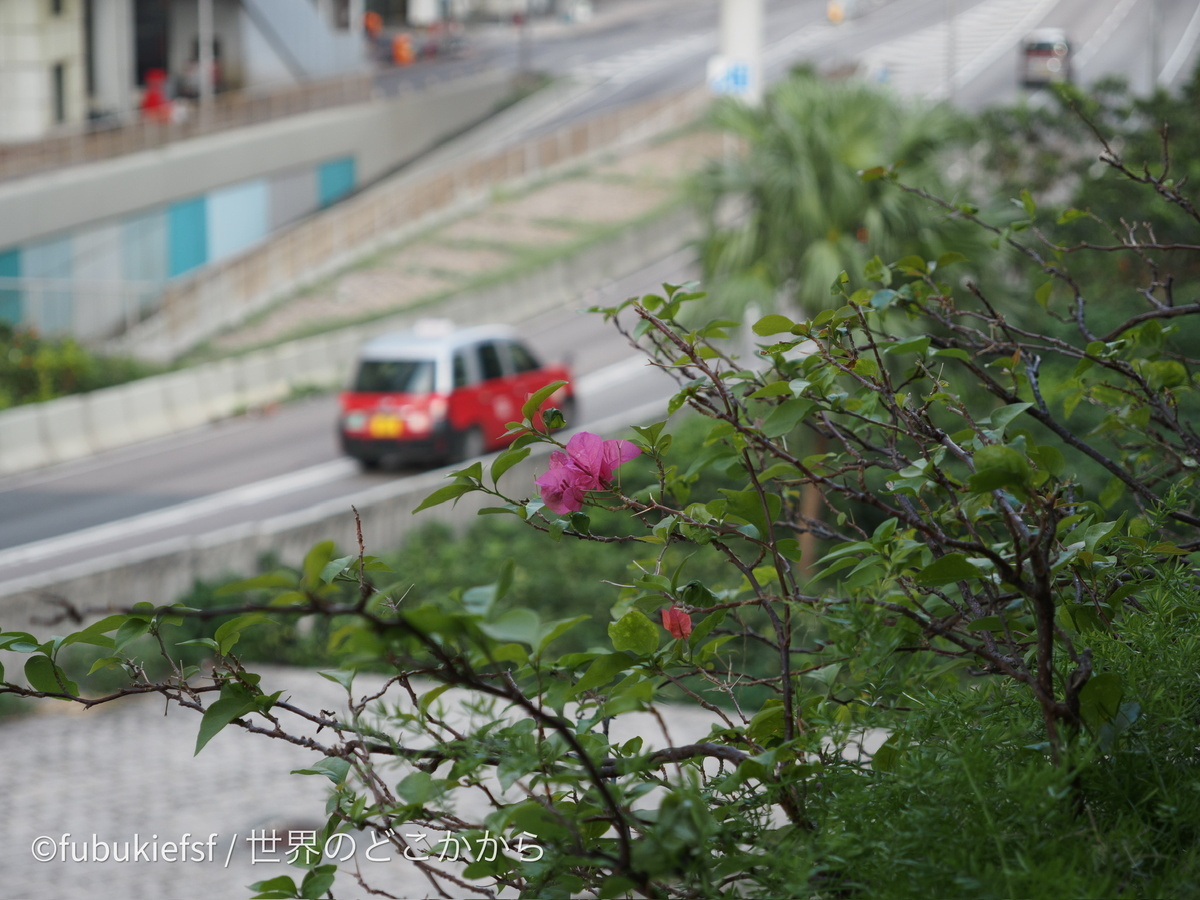 香港にて ISO 200 45mm 0ev f4 1/125s