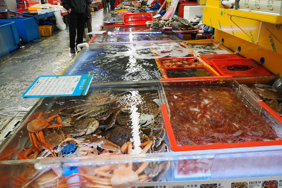 チャガルチ市場では生け簀の海鮮物を選んで購入し2階で食べることが出来る