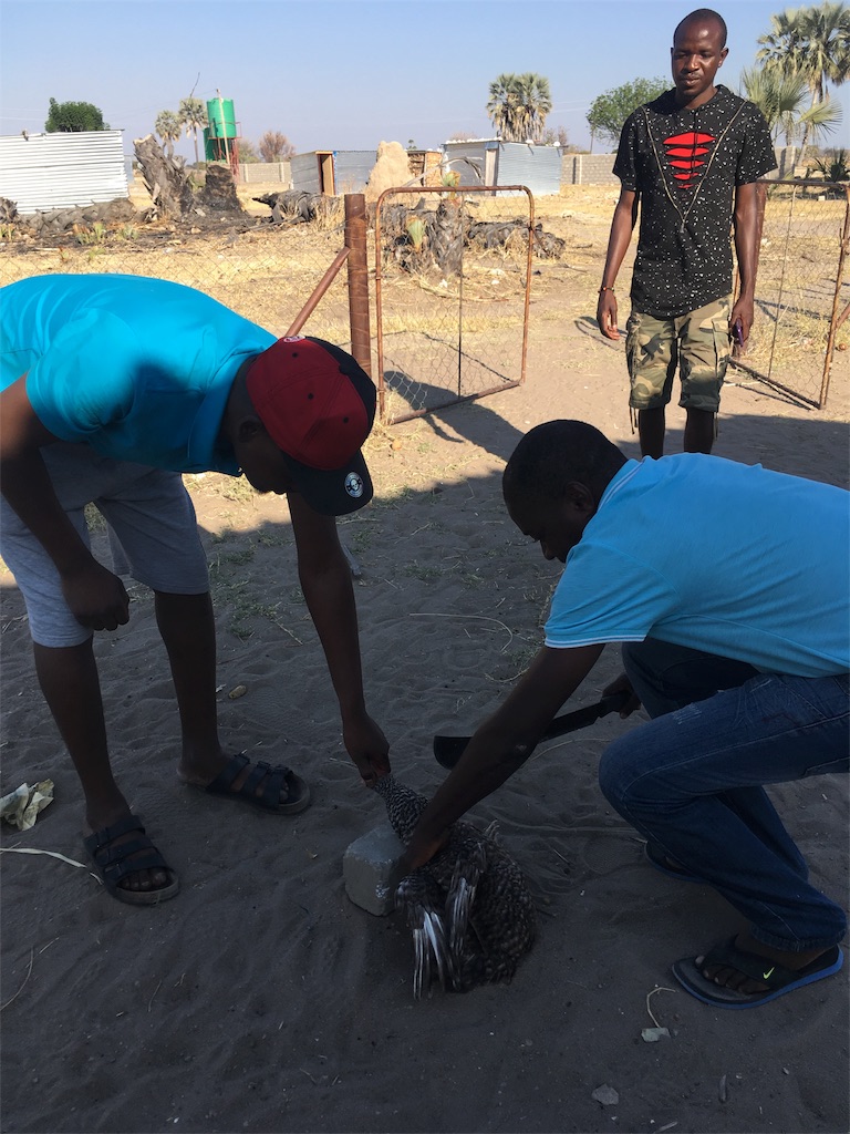 f:id:fuca-0211:20170823054233j:image