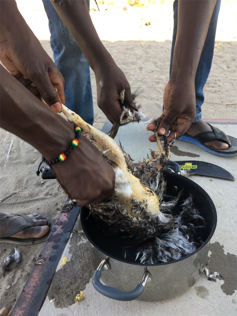 f:id:fuca-0211:20170823054253j:image