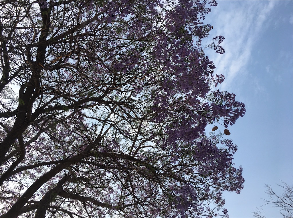 f:id:fuca-0211:20171001040746j:image