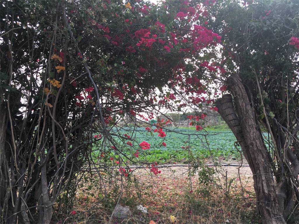 f:id:fuca-0211:20171003040043j:image f:id:fuca-0211:20171003040043j:image