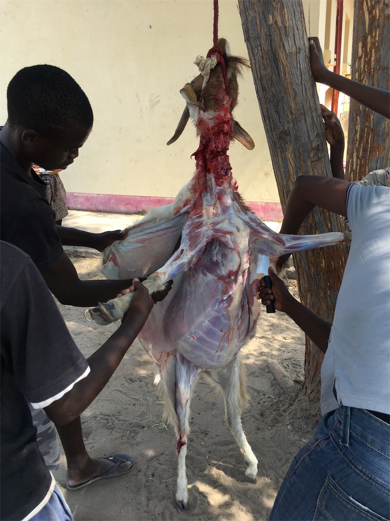 f:id:fuca-0211:20171014151346j:image