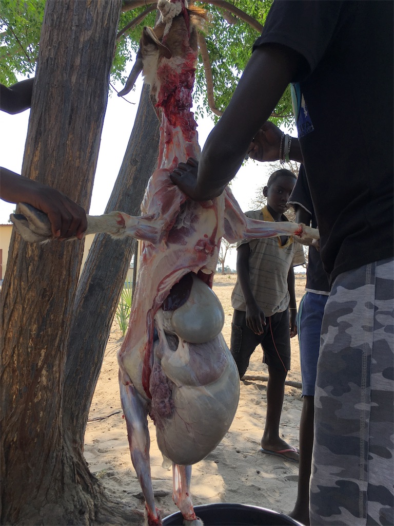 f:id:fuca-0211:20171014151408j:image