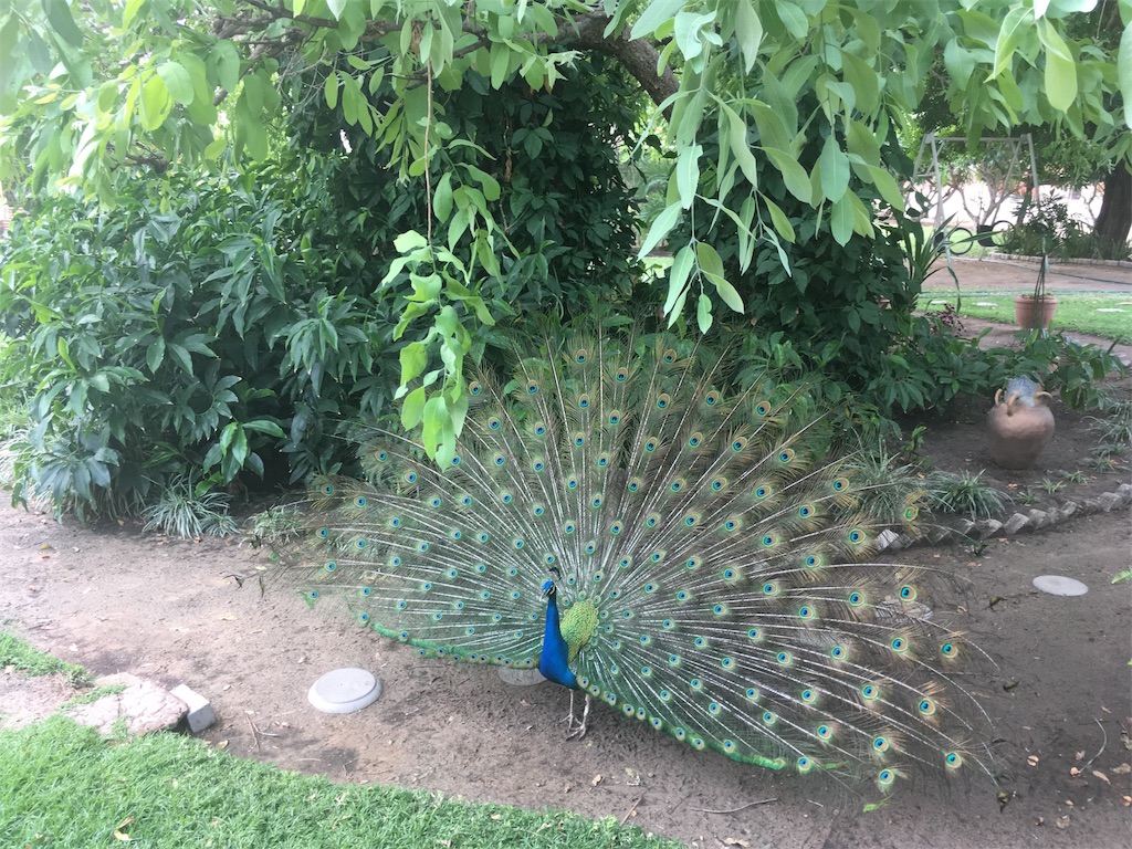 f:id:fuca-0211:20171023011426j:image